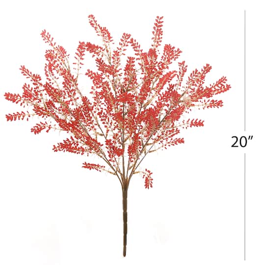 19" Berry Bush by Ashland